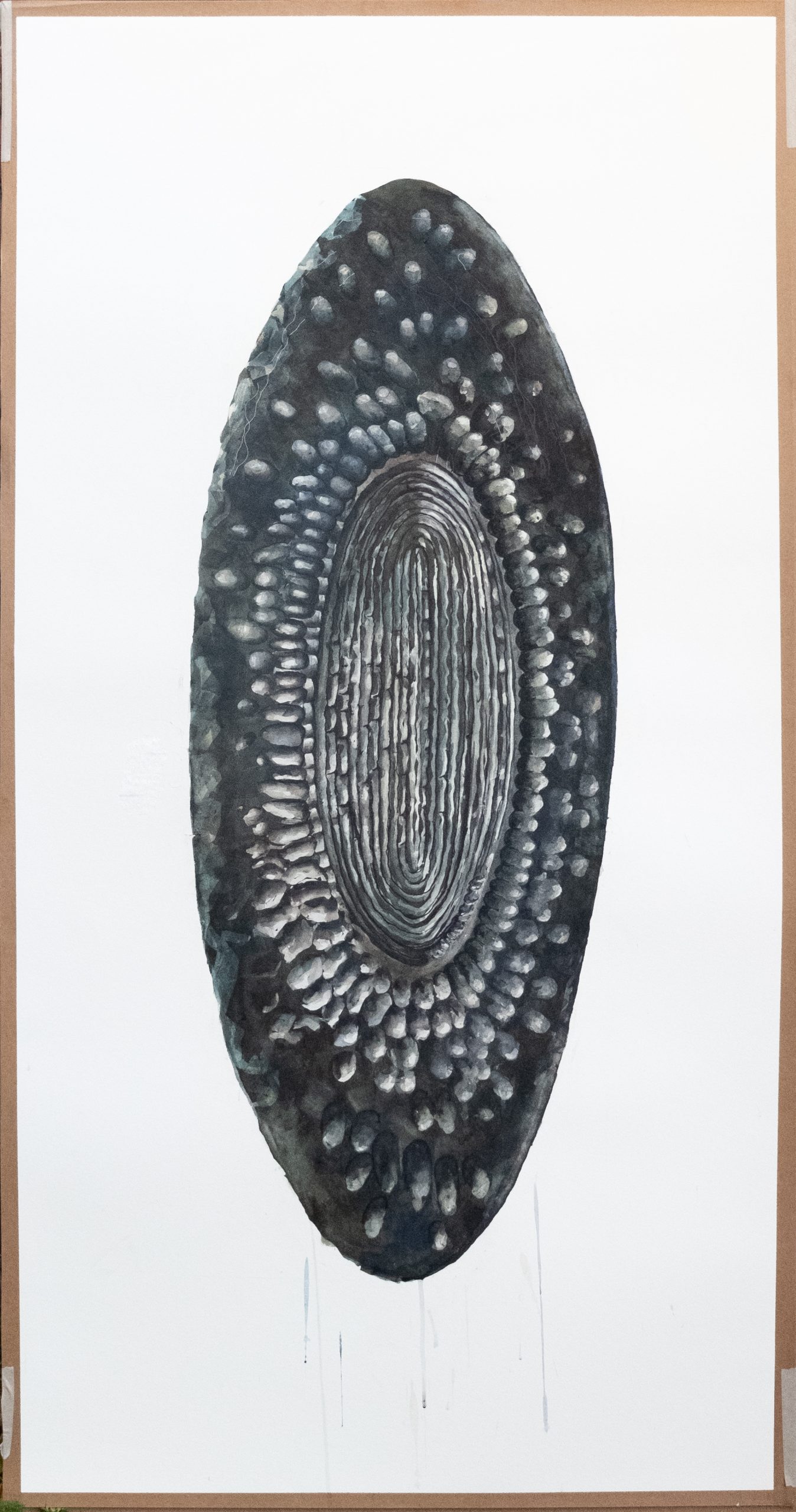 Large Oval bowl: complete drawing minus plot
