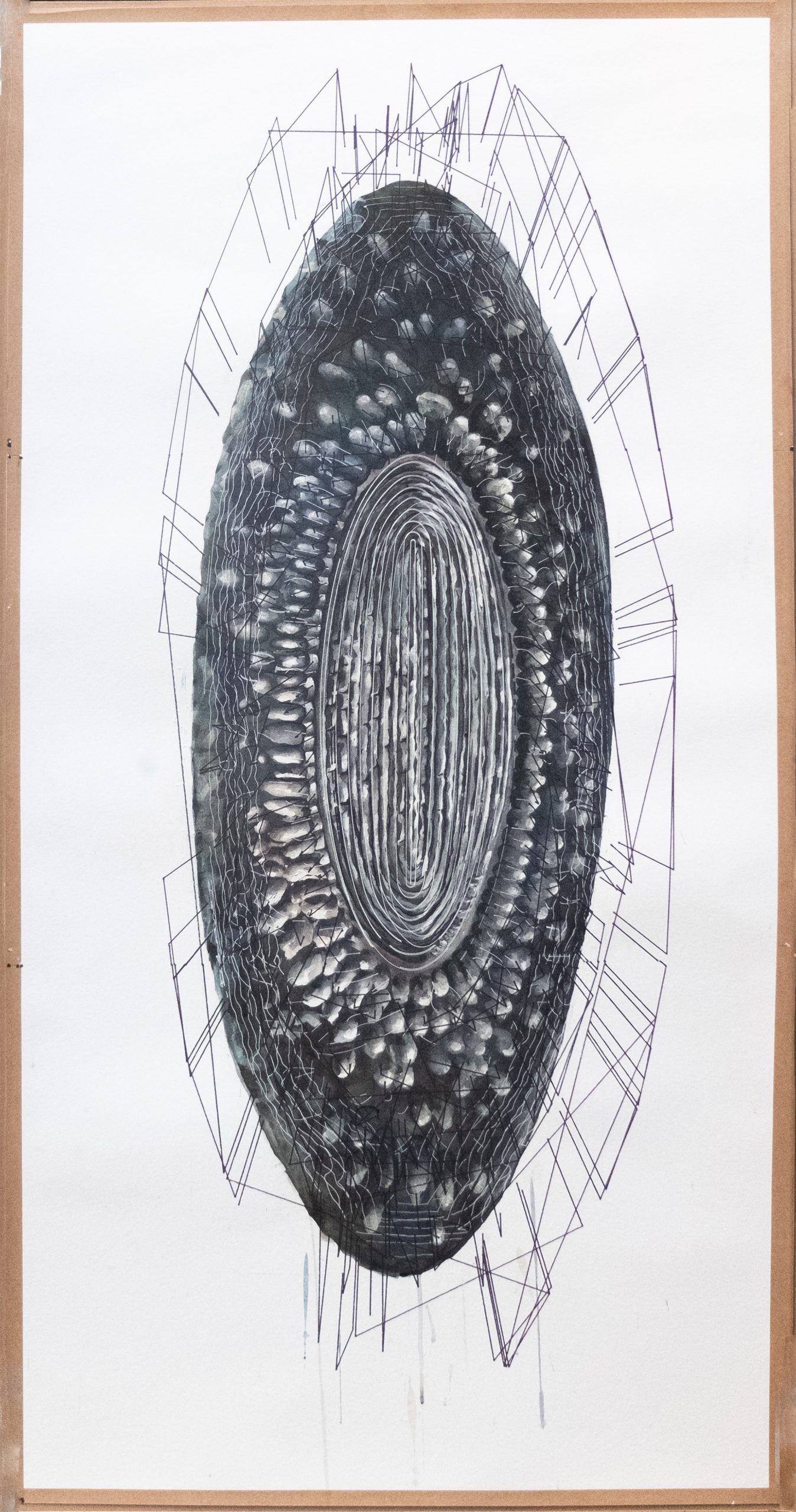 Large Oval bowl: complete drawing plus plot rotated