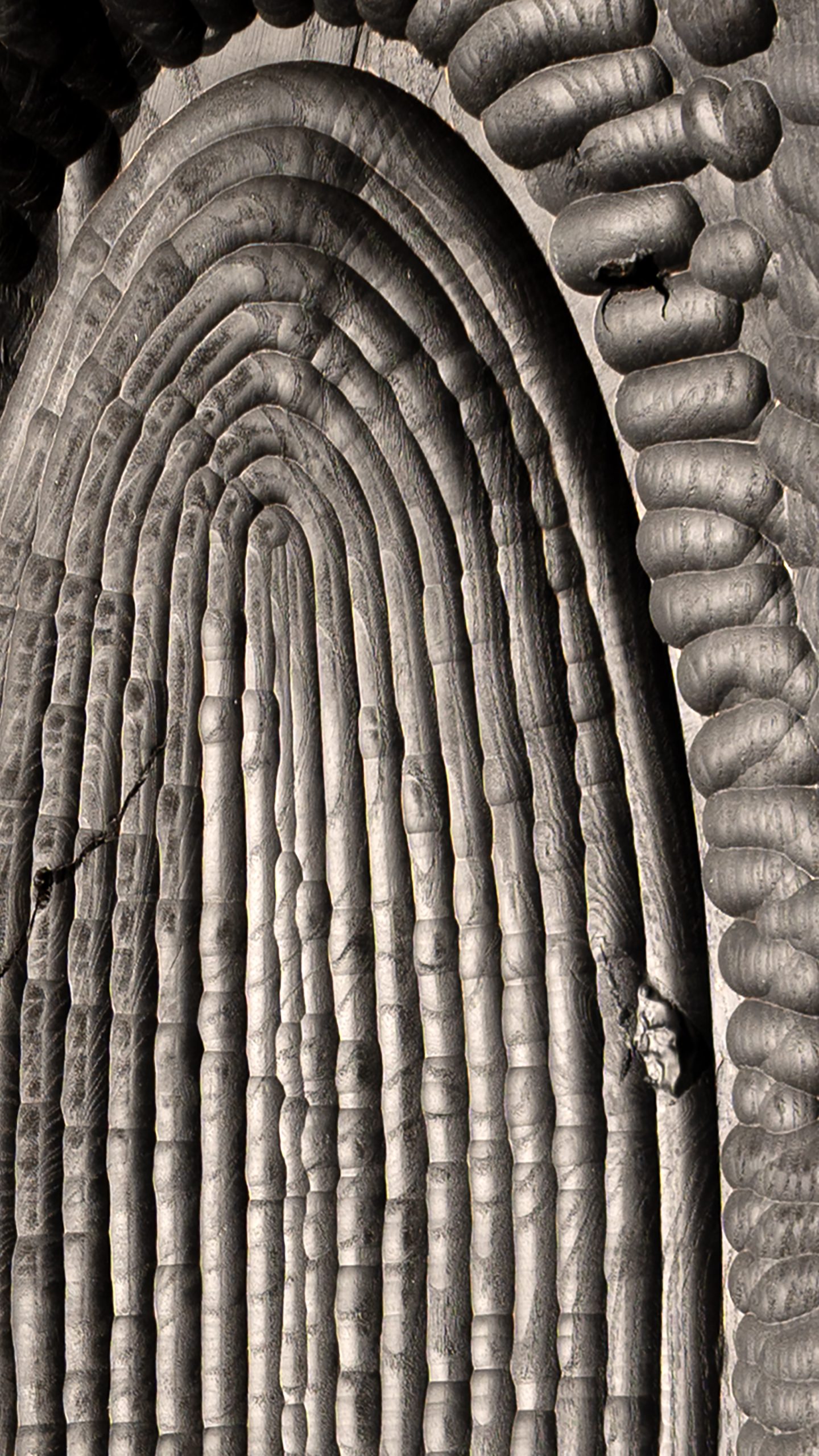 Large Oval bowl: medium canoue bowl detail